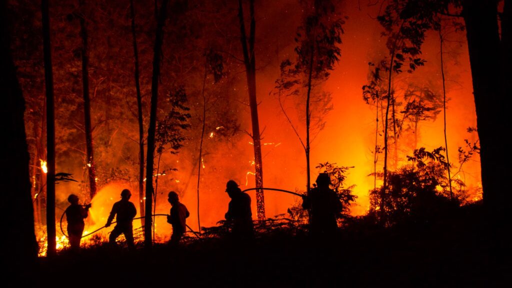 Dados do Effis apontam que a Itália deve bater recorde de incêndios florestais em 2021