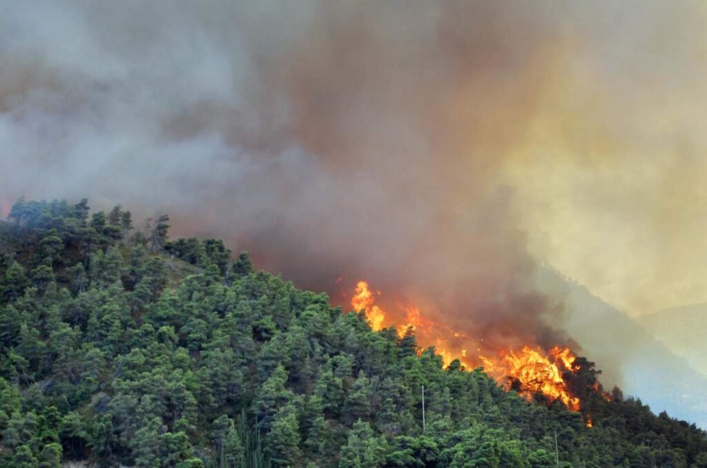 Incêndios florestais na Itália atingiram área de quase 160 mil hectares em 2021