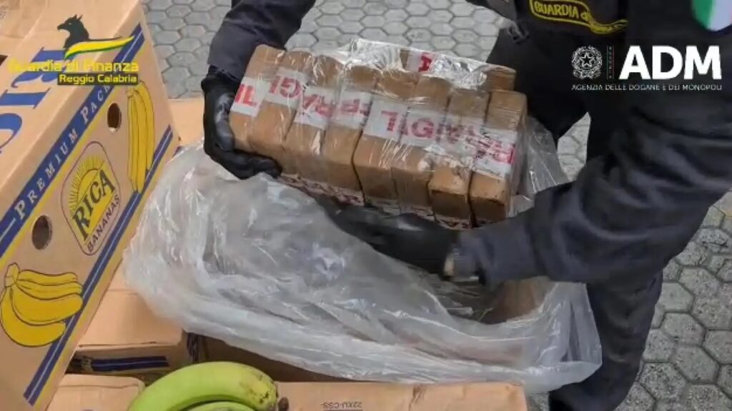 Polícia da Itália apreende na Calábria 3 toneladas de cocaína da América do Sul