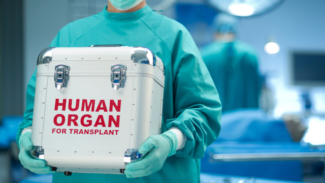 Pesquisa revela que mais de 55% dos italianos desejam ser doadores de órgãos