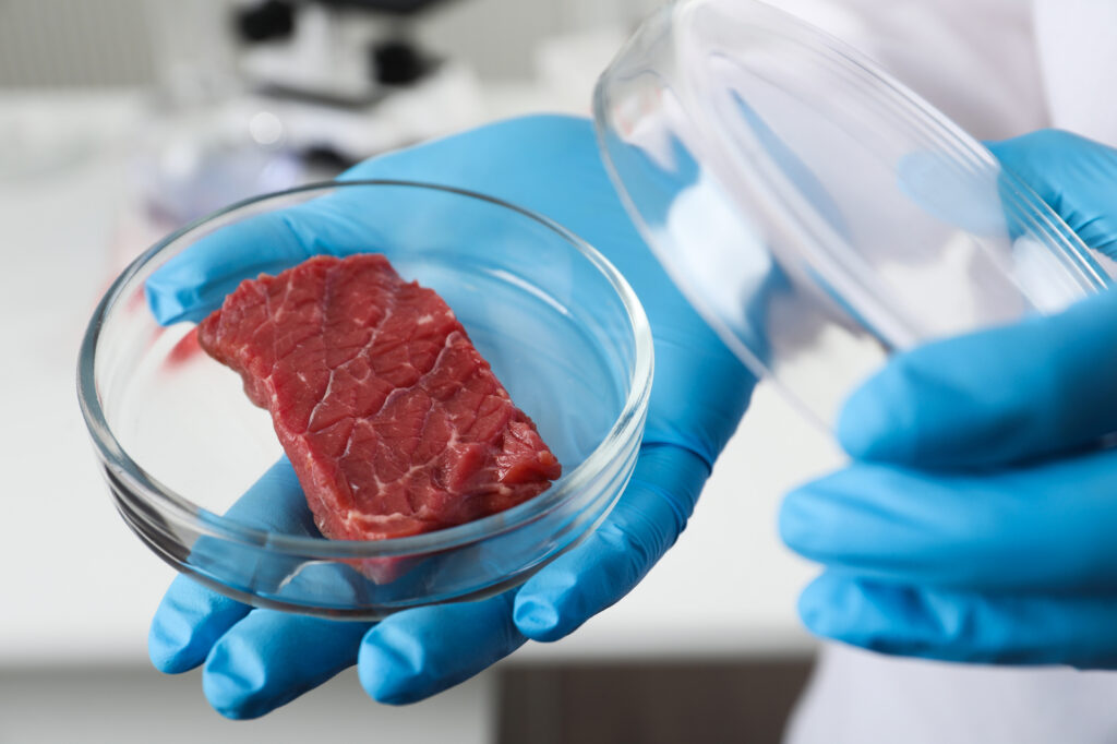 Itália sanciona lei que proíbe a produção e a venda de carne cultivada no país